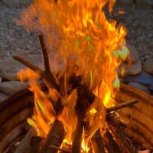 Meet your Posher, Carly